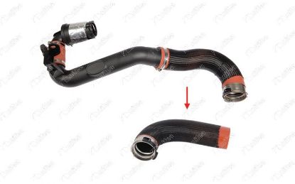 TURBO HORTUMU (Büyük Plastik Hariç)  MASTER III resmi
