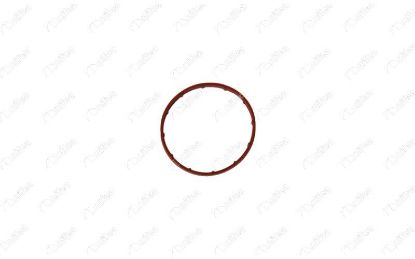 VAKUM POMPA CONTASI (BÜYÜK) 107-206-FIESTA- 307 DV4TD resmi