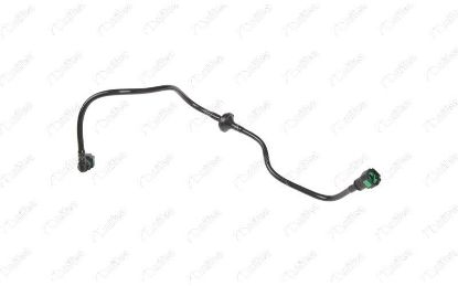 WESTINGHOUSE BORUSU C4 DS4 308 1.6 HDi 2004-2015 resmi