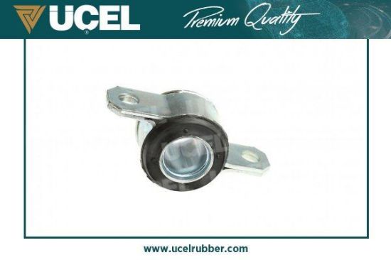 SALINCAK TAKOZUDUCATO-BOXER-JUMPER resmi