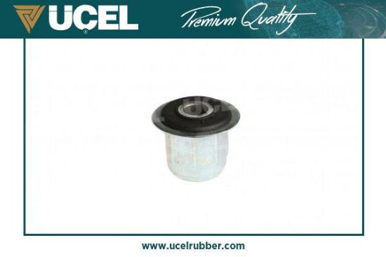 ÖN MAKAS BURCUDUCATO-BOXER-JUMPER resmi