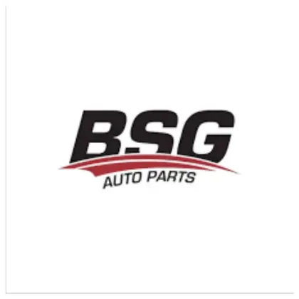 BSG üreticisi resmi