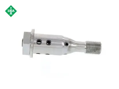 EKSANTRİK MİL AYAR VENTİLİ    F20-F21-F22-F87 resmi