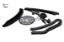 Eksantrik Zincir Seti Master Iii Mais  130C11863R    130C19924R resmi