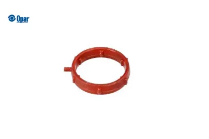 TOROİDAL CONTA O-RING - C4 X (C43) resmi