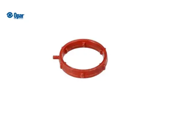 TOROİDAL CONTA O-RING - C4 X (C43) resmi