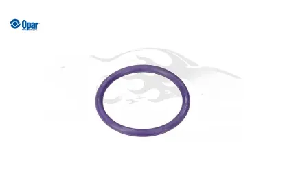 TOROİDAL CONTA O-RING - C4 X (C43) resmi