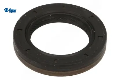 ŞANZIMAN KEÇESİ BOXER III-JUMPER III resmi