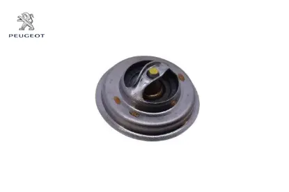 TERMOSTAT resmi