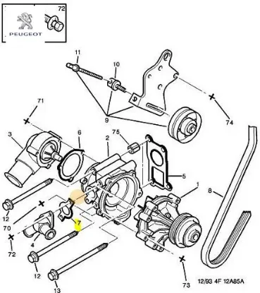 HORTUM CONTASI 306 406 807 XU7JP resmi