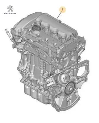 KOMPLE MOTOR EP6CDT 156 BG resmi