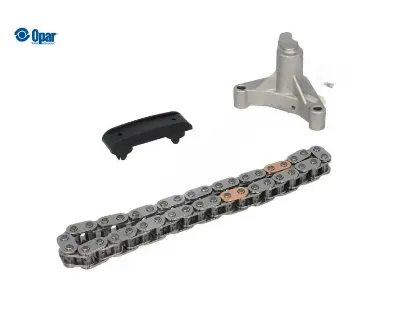 EKSANTRİK MİL ZİNCİRİ KİTİ   307-308-407-EXPERT III-SCUDO-MONDEO-KUGA  2.0HDI/DW10ATED  04-10 resmi