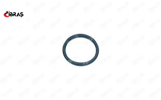 EMME MANİFOLD CONTASI BOXER JUMPER DUCATO-TRANSIT 2.0 TDCI/2.2 HDI/2.4 resmi