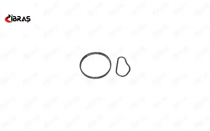 VAKUM POMPA CONTASI C2 C3 JUMPY SCUDO FOCUS II 206 307 308I 407 EXPERT C30 1.6 HDI 03-16 resmi