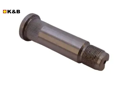 ARKA TORSİYON MİL PİMİ    307 resmi