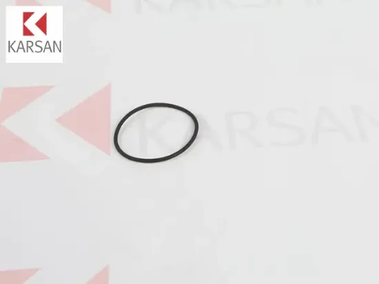 TERMOSTAT ORİNGİ/LASTİĞİ    J10 resmi