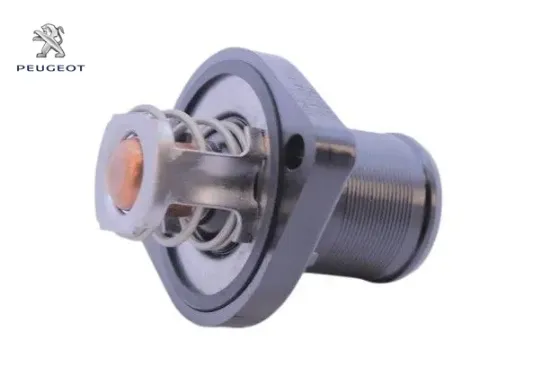 TERMOSTAT KOMPLE 89C 206-307-BIPPER-C4 TU3J/TU5JP4 resmi
