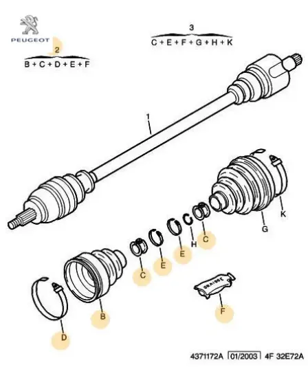 DIS AKS KORUK resmi