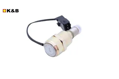 AVANS ELEKTROVANASI PARTNER-EXPERT DW8-KANGO 1,9 resmi