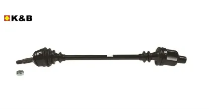AKS KOMPLE SAĞ Abs      LOGAN-SANDERO 1.5DCI 05-> resmi