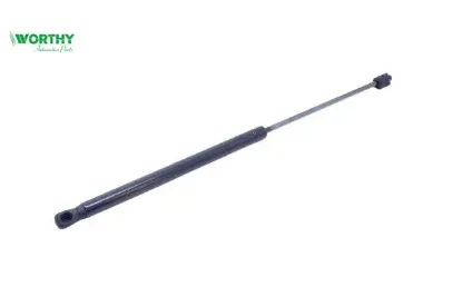 BAGAJ AMORTİSÖRÜ    C5 resmi