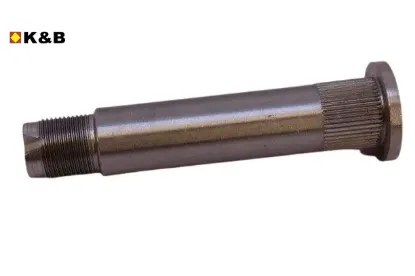AKS PİMİ    C2 resmi