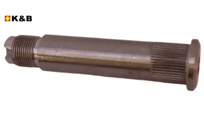 AKS PİMİ   106 resmi