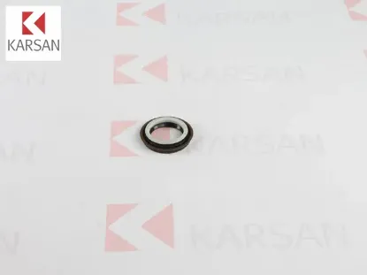 AKS KEÇESİ SOL     JEST resmi