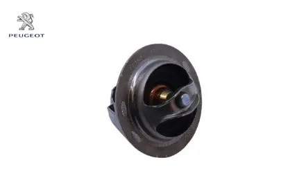 TERMOSTAT 306-406 XU10J4 resmi