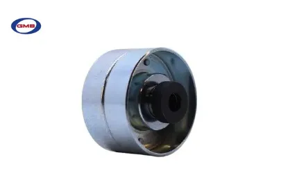 EKSANTRİK GERGİ RULMANI 206-306-406-PRT DW8-DW10-D resmi