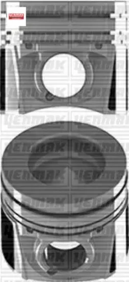 PİSTON SEGMAN 73,70mm+0,50  208-2008-DS3-C3 1.4 E5 resmi