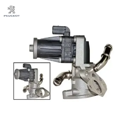 EGR VANASI BOXER-TRANSIT V347 PUMA EURO 5 resmi