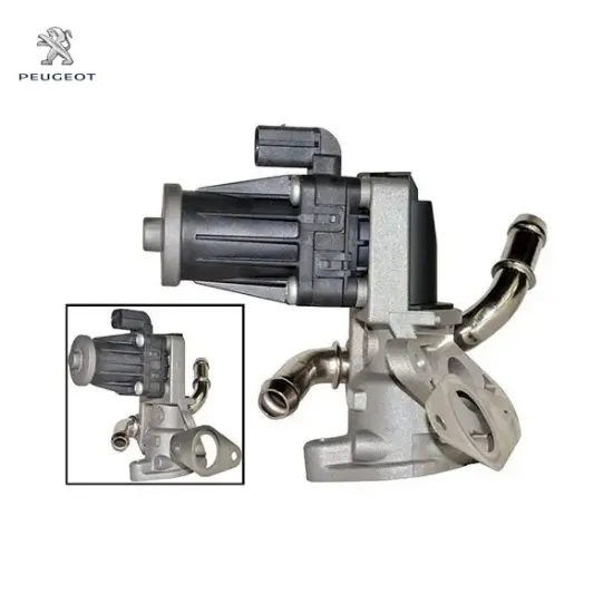 EGR VANASI BOXER-TRANSIT V347 PUMA EURO 5 resmi