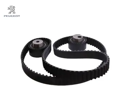 TRİGER SETİ 146 DIS 406 607 807 C5 C8 DW12TED4 resmi