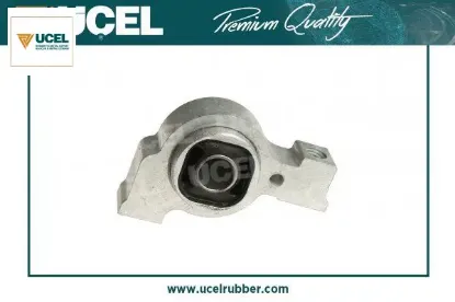 SALINCAK BURCU  407-C5-C6 resmi