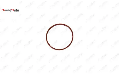 VAKUM POMPA CONTASI (BÜYÜK) 107-206-FIESTA- 307 DV4TD resmi