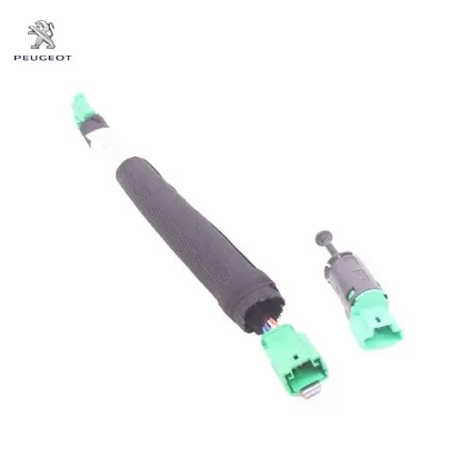 FREN STOP MÜŞİRİ    307-C2-C3 resmi