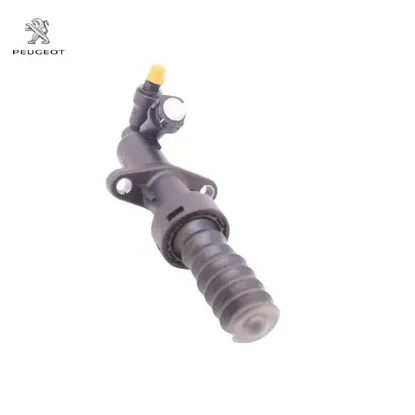 DEBRİYAJ ALT MERKEZ EXPERT TEPEE DV6TED resmi