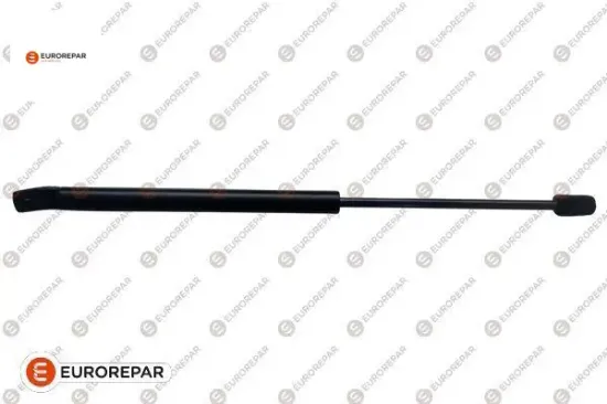 Bagaj Kap Dayan Eurorepar 1679433680 resmi
