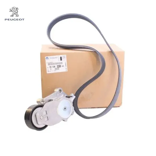 Alternatör Kiti    1007-206-307  Dv6ted Peugeot  5751.86/ 1613837980/ 5750.VN   PEUGEOT, CITROEN 1613844180 resmi